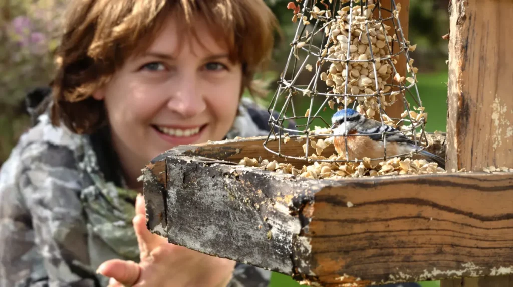 C’est à ce moment précis qu’il faut arrêter de nourrir les oiseaux, préviennent les passionnés